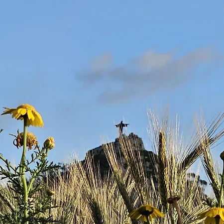 Bed & Breakfast Soulnest 1 Dedicated Bathroom