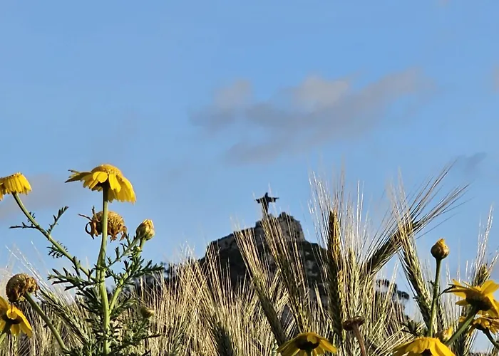 Bed and breakfast Soulnest 1 Dedicated Bathroom